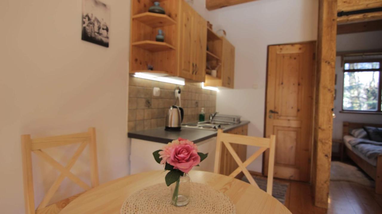 Apartamenty Pod Cisowka Zakopane Bagian luar foto